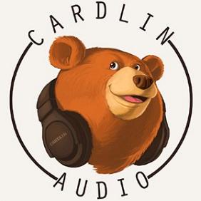 CardlinAudio net worth