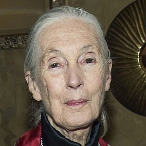 Jane Goodall net worth