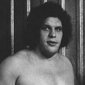 Andre the Giant net worth