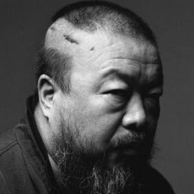 Ai Weiwei net worth